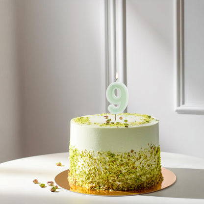 Light Green Birthday Candle number 9